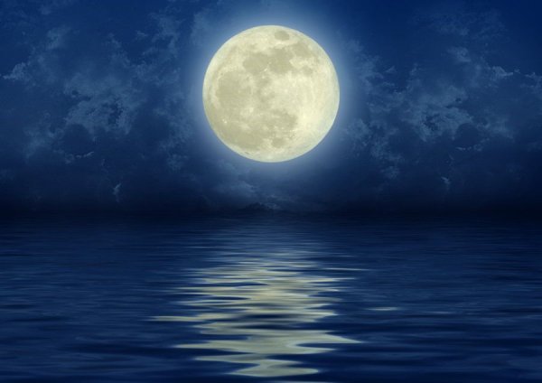 Картина лунный свет Клод Дебюсси