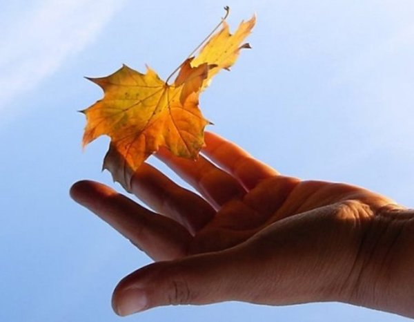 Осенний листок на ладони
