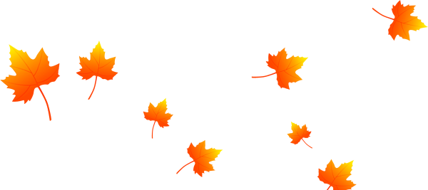 Падающие листья на прозрачном фоне