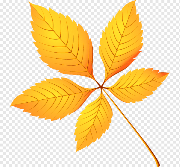 Осенние листья каштана