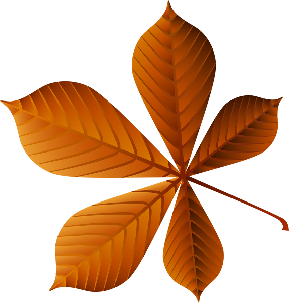 Лист каштана