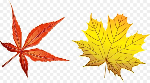 Осенние листья рисунок для детей