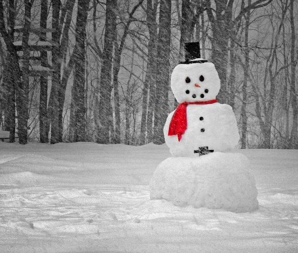 Снеговики настоящие