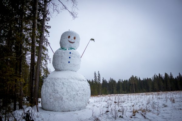 Снеговик в Лихославльском