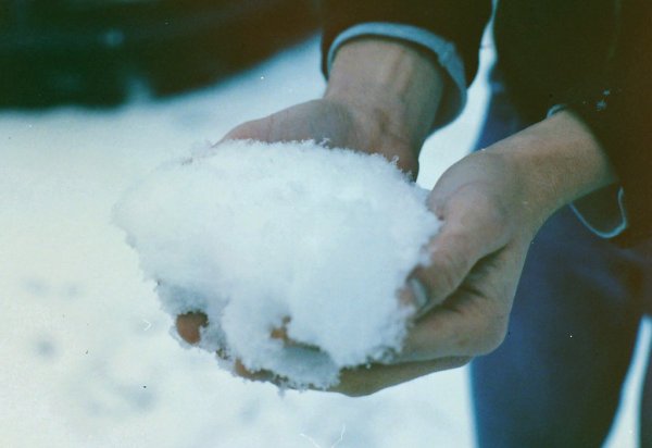 Снежок в ладонях