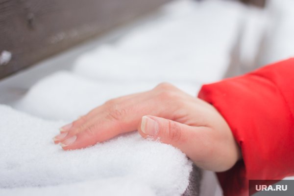 Первый снег на ладони