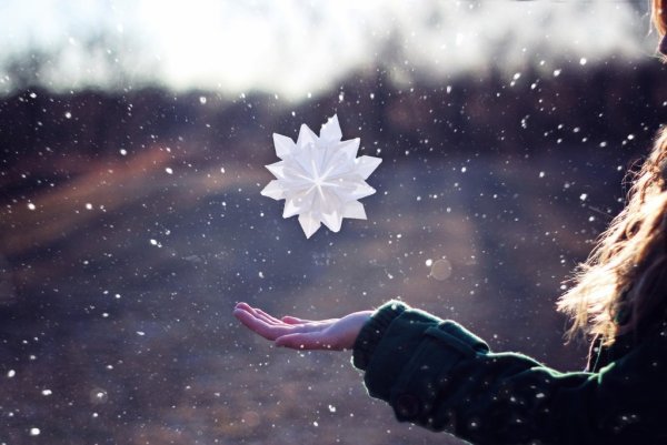 Анастасия Сотникова Снежинка