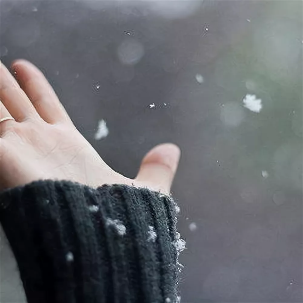 Снежок в ладонях