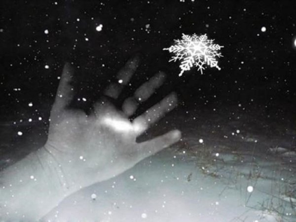 Снежинка на руке