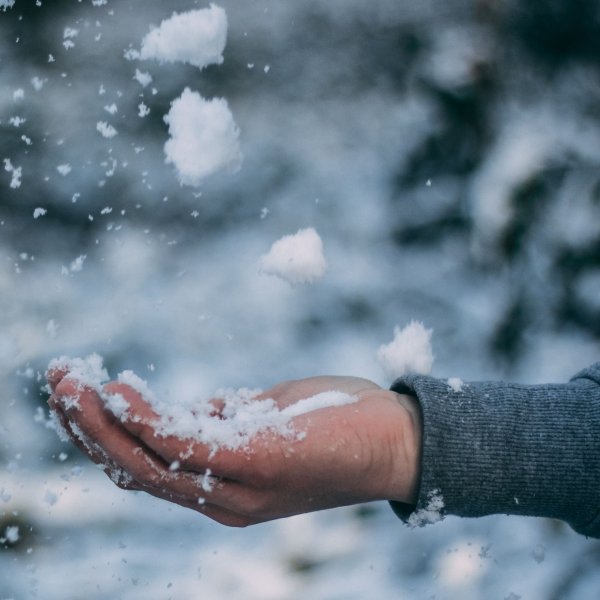 Снег на ладонях снег