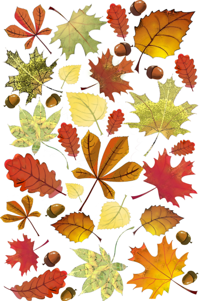 Листья деревьев осенью