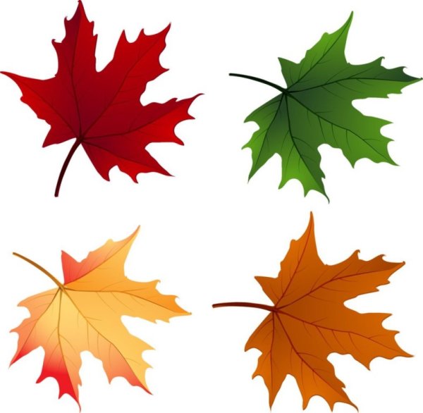 Маленькие осенние листочки