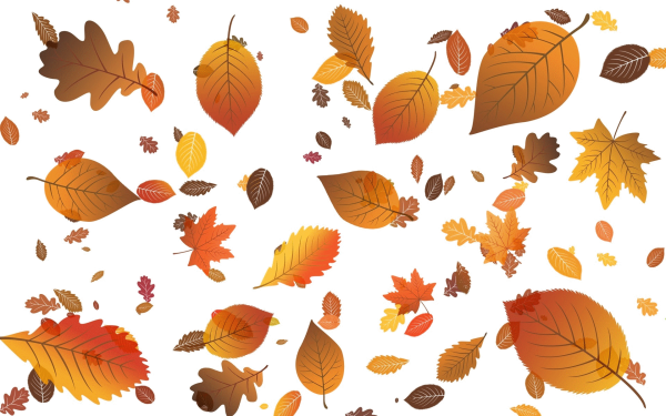 Осенние листья фото