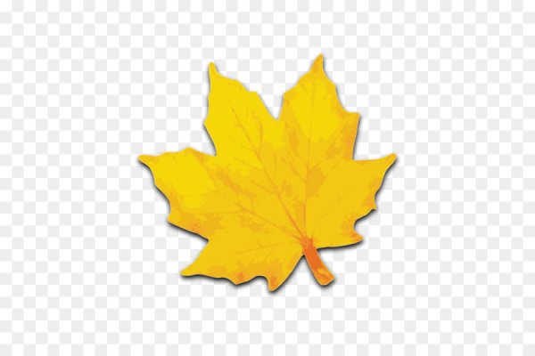 Кленовые листочки желтые