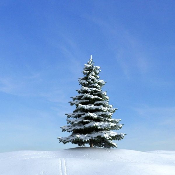 Елочка зимой