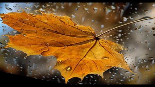 Осень в вальсах Шопена