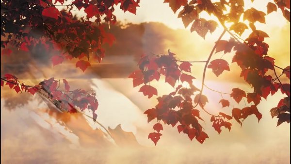 Осенний Ноктюрн Шопена