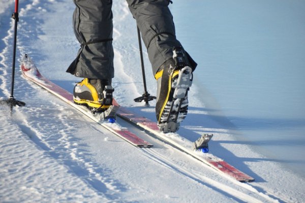 Лыжи для катания по снегу