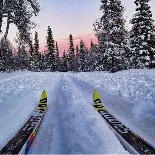 Лыжи на лыжне Фишер