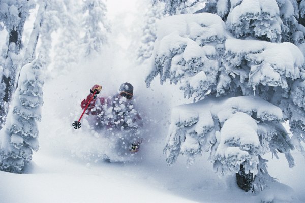 Фрирайд в заснеженном лесу
