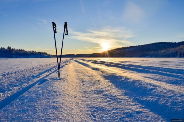 Зимняя Лыжня