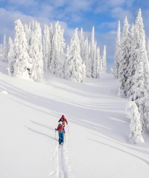 Снеговые лыжи