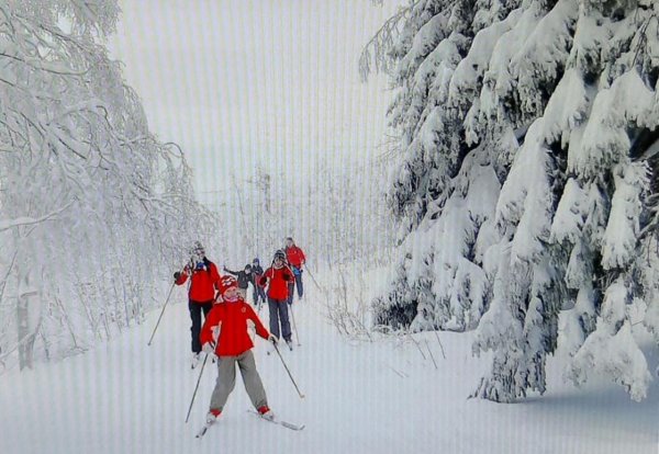 Лыжная прогулка в лесу