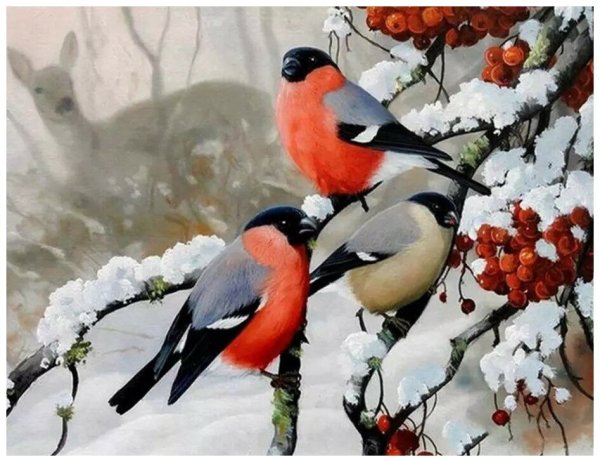 Алмазная мозаика Снегири на рябине