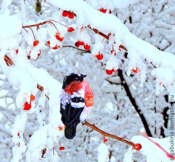 Красота зимы