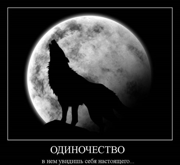 Волчьи цитаты про одиночество