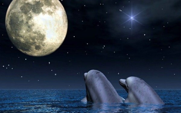 Прекрасная ночь