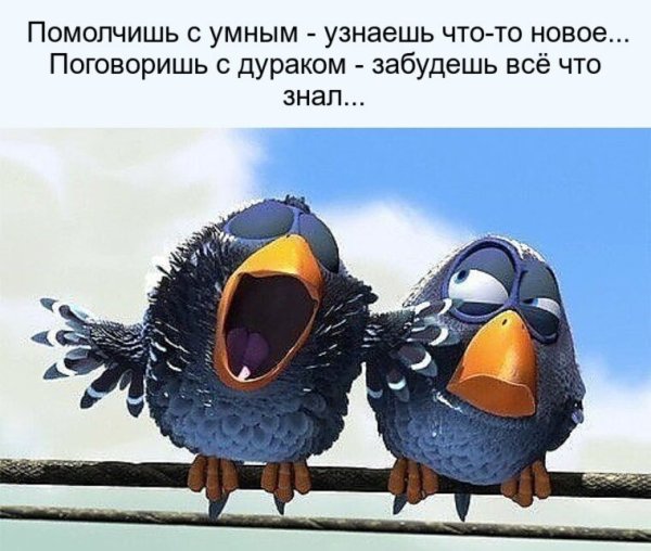 Прикольные стишки про птичек