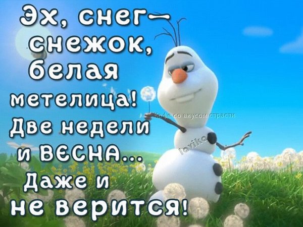 Снежок белая Метелица