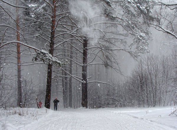 Зима метель Междуреченск