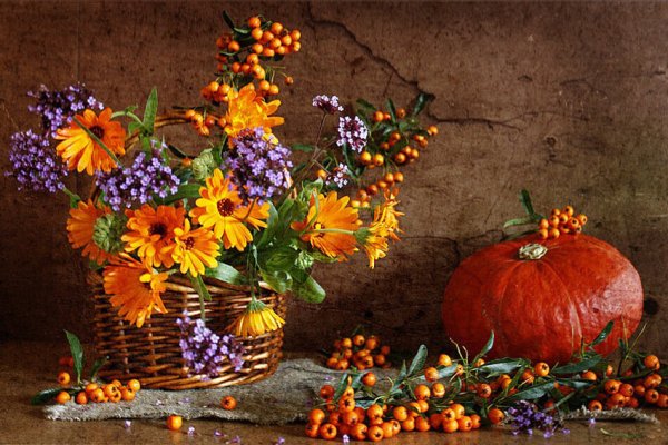 Красивый осенний натюрморт