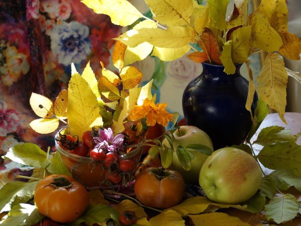 Обои на рабочий стол осенний натюрморт