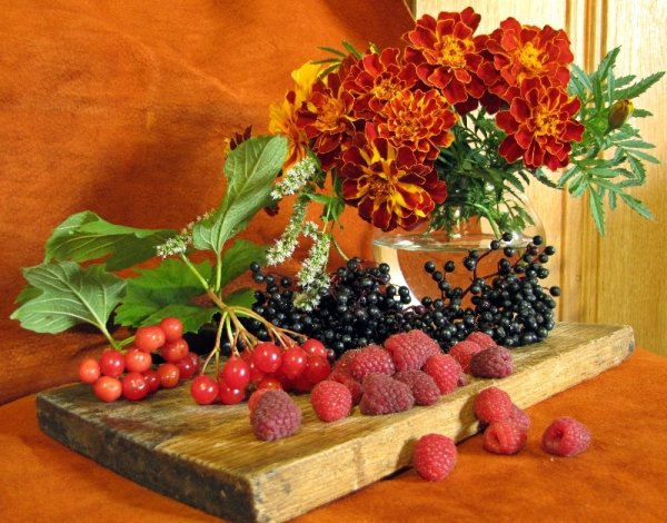 Красивый осенний натюрморт