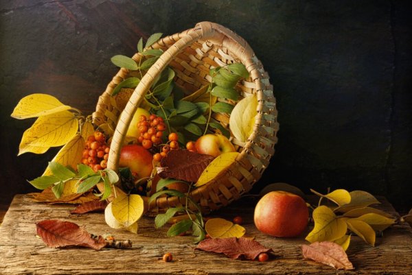 Геннадий Паско осенний натюрморт