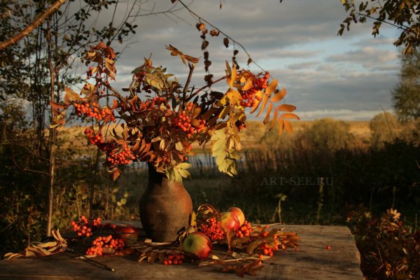Натюрморт осенний