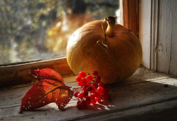 Обои на рабочий стол осенний натюрморт