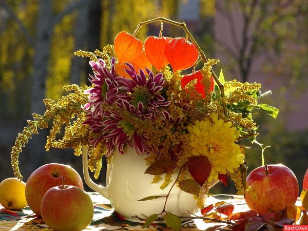 Плодотворной осени