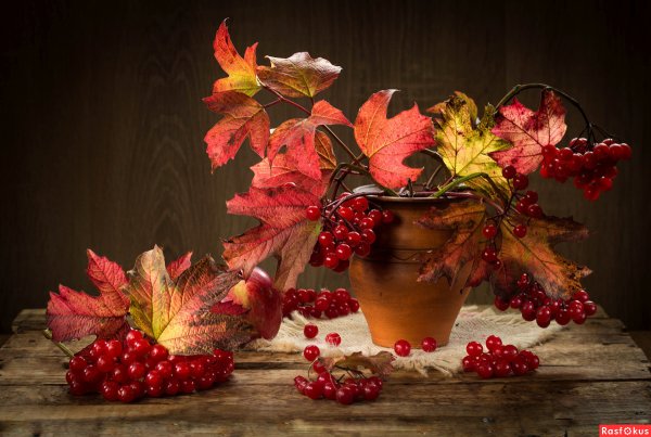 Осенний натюрморт с калиной