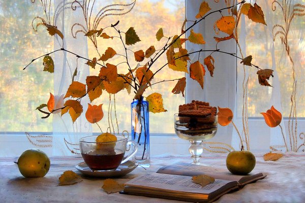 Натюрморт поздней осени