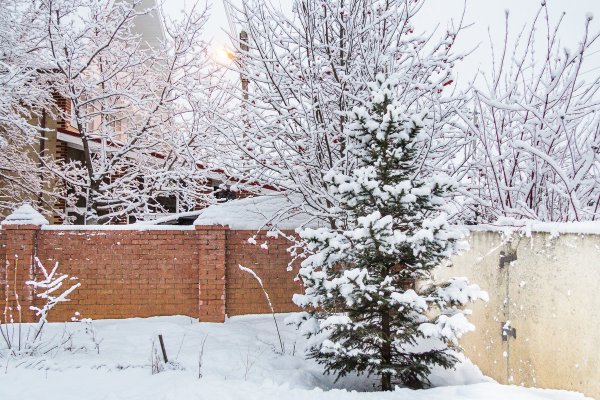 Снова выпал снег