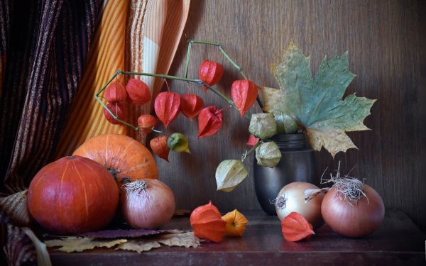 Тыква и физалис