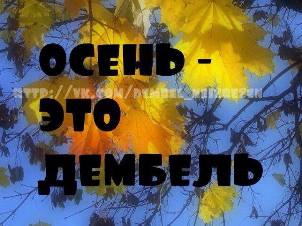 Я осенний дембель
