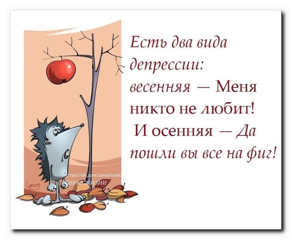Анекдоты про осень в картинках