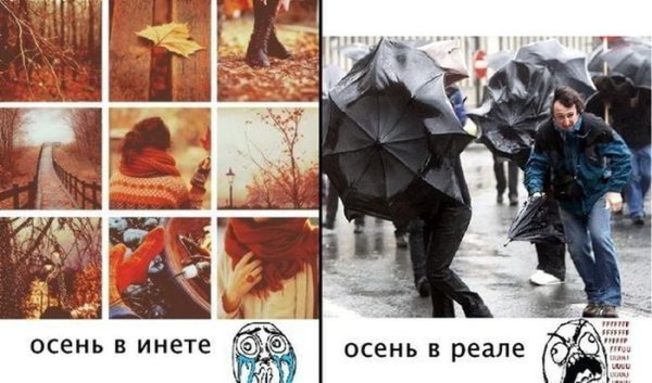 Приколы про осень картинки