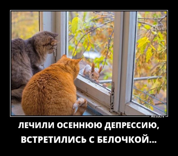 Приколы про осень