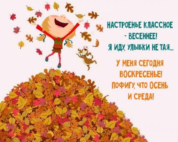 Шутки про осень